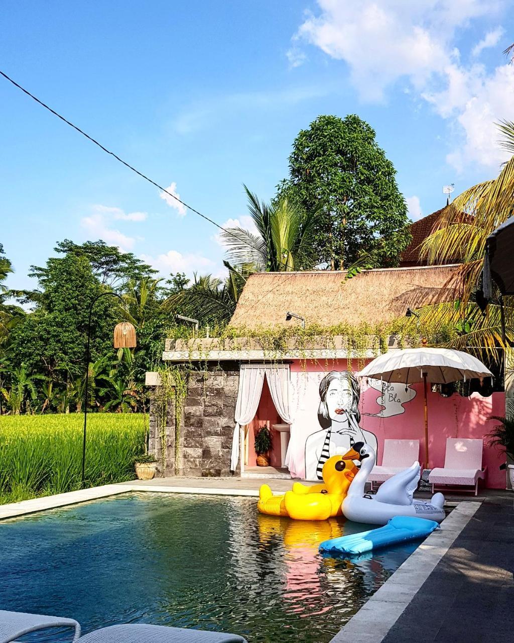 Pillow * Ubud (Bali)